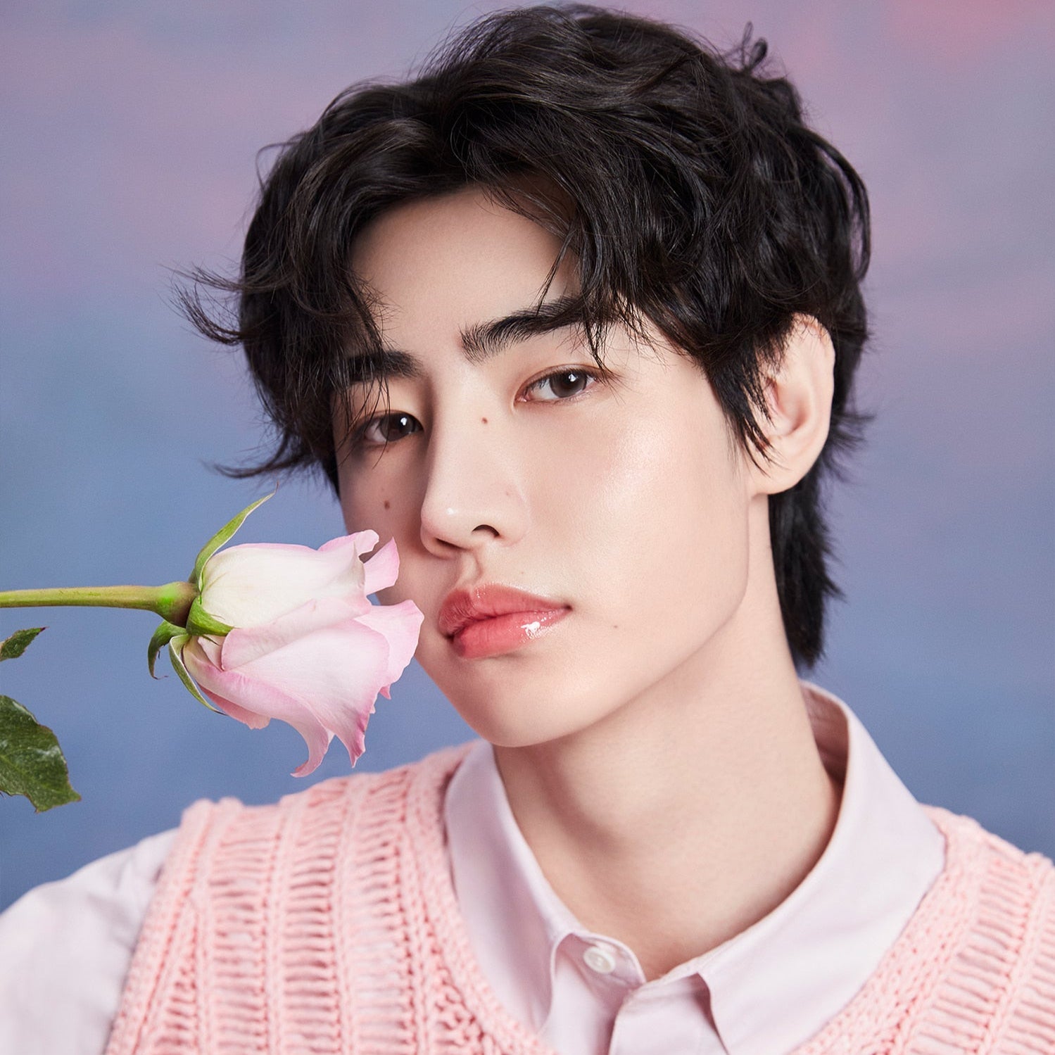 HINCE Low Glow Dewy Ball (Lip &Cheek) | Kool Seoul