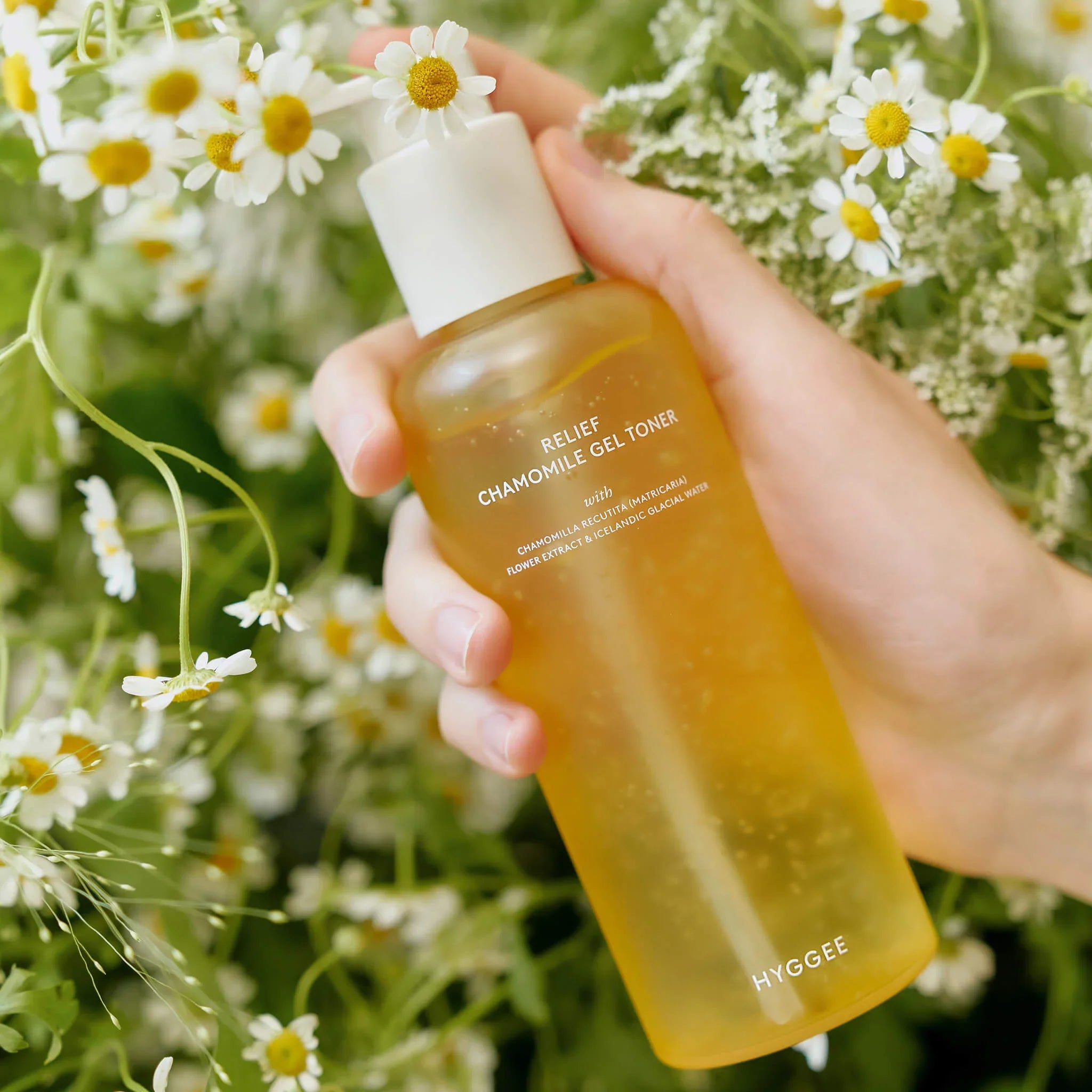 Hand holding HYGGEE Relief Chamomile Gel Toner 200ml bottle amidst fresh chamomile flowers, showcasing natural skincare product.