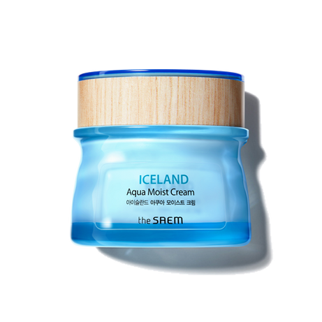 THE SAEM  Iceland Aqua Moist Cream 60ml