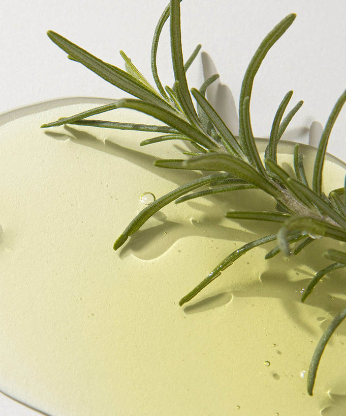 KAINE Rosemary AHA Night Serum 30ml texture with rosemary twig for skincare benefits