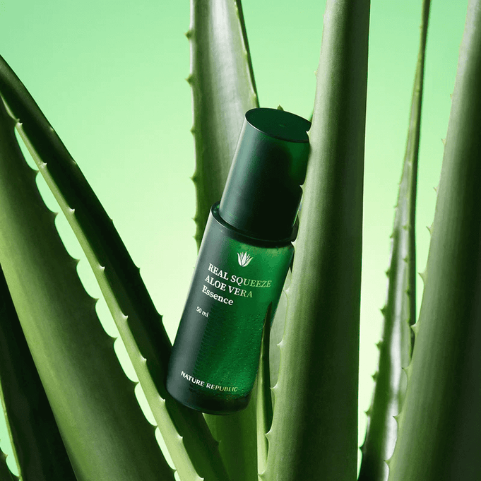NATURE REPUBLIC Real Squeeze Aloe Vera Essence 50ml bottle showcased among aloe vera leaves on a green background