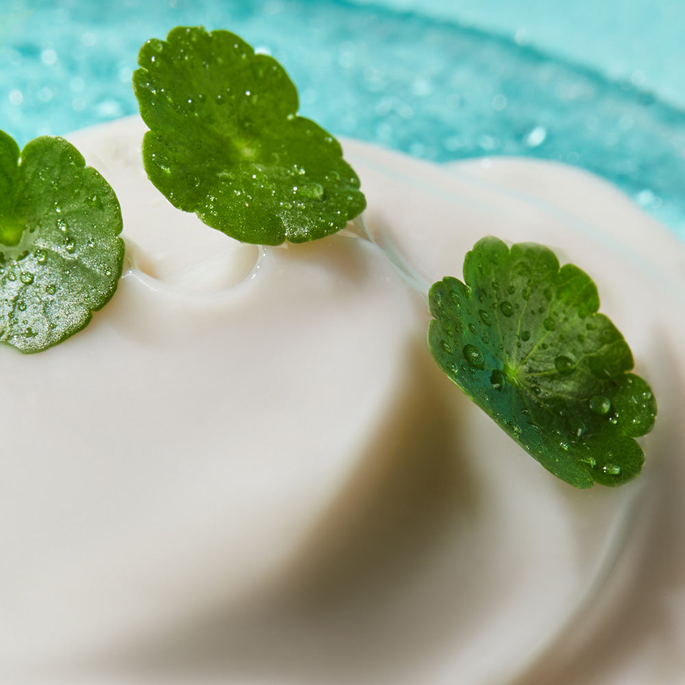 Close-up of NEOGEN Hyal Exosome Cream 40ml with green leaves, highlighting natural skincare ingredients for hydration and rejuvenation.