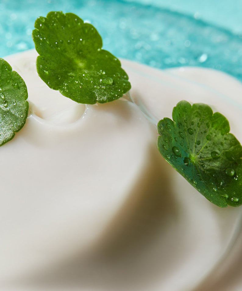 Close-up of NEOGEN Hyal Exosome Cream 40ml with green leaves, highlighting natural skincare ingredients for hydration and rejuvenation.