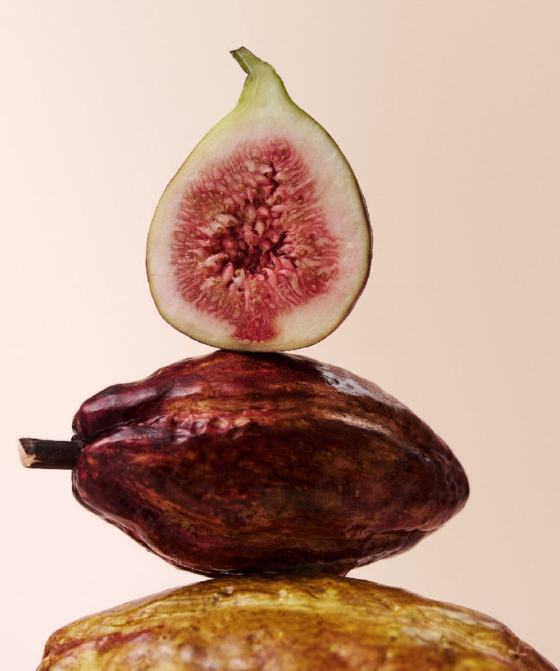 Fresh fig and cacao pod used in OSULLOC Fig Chocolate Black Tea 20 P blend.
