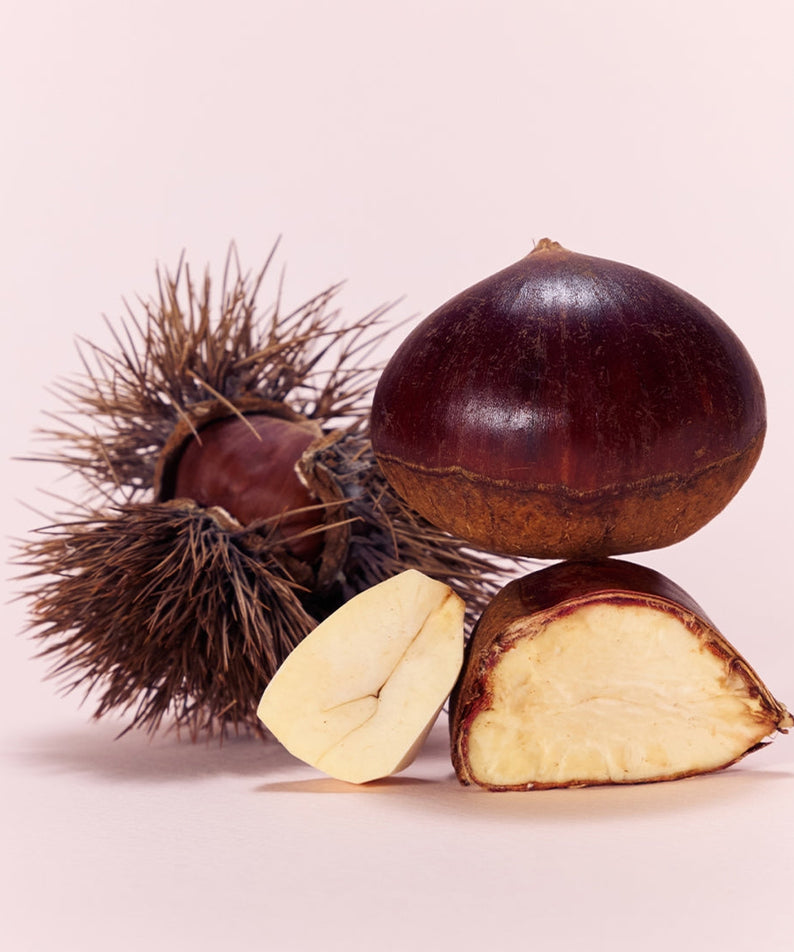 Whole and sliced chestnuts on display, illustrating ingredients in OSULLOC Marron Cream Black Tea 10 p.