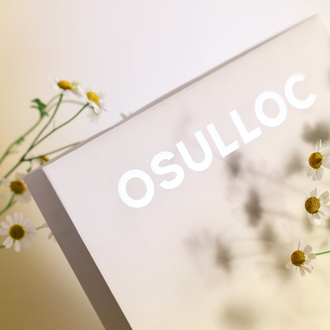 OSULLOC Tea Edition Herb 4 Types