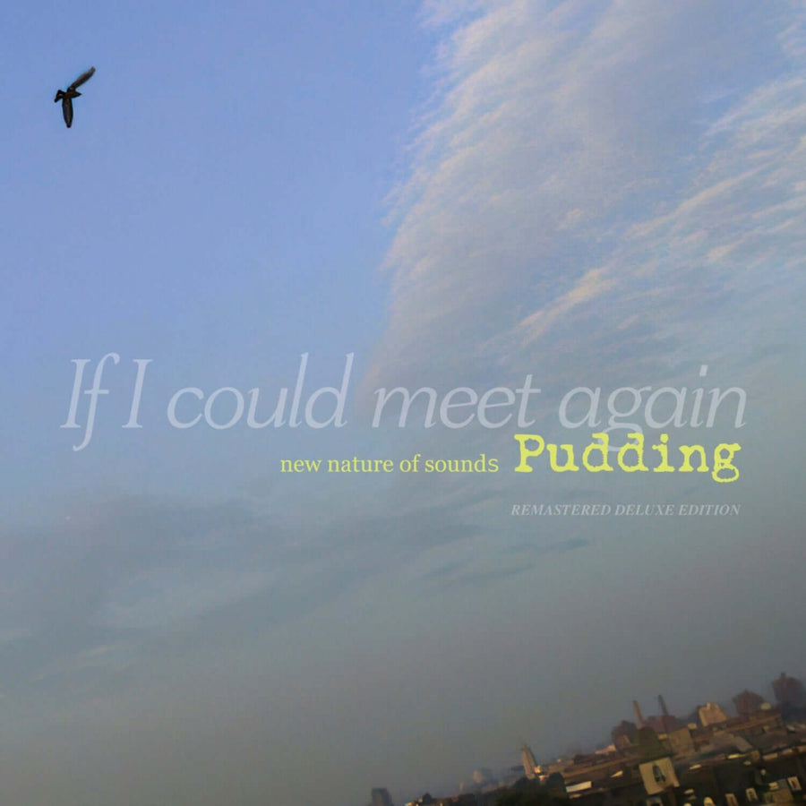 Pudding - If I Could Meet Again [Remastered Deluxe Edition] 2CD - KPOP アルバム