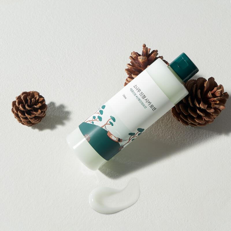 ROUND LAB Pine Calming Cica Lotion 250ml surrounded by pine cones and lotion swatch