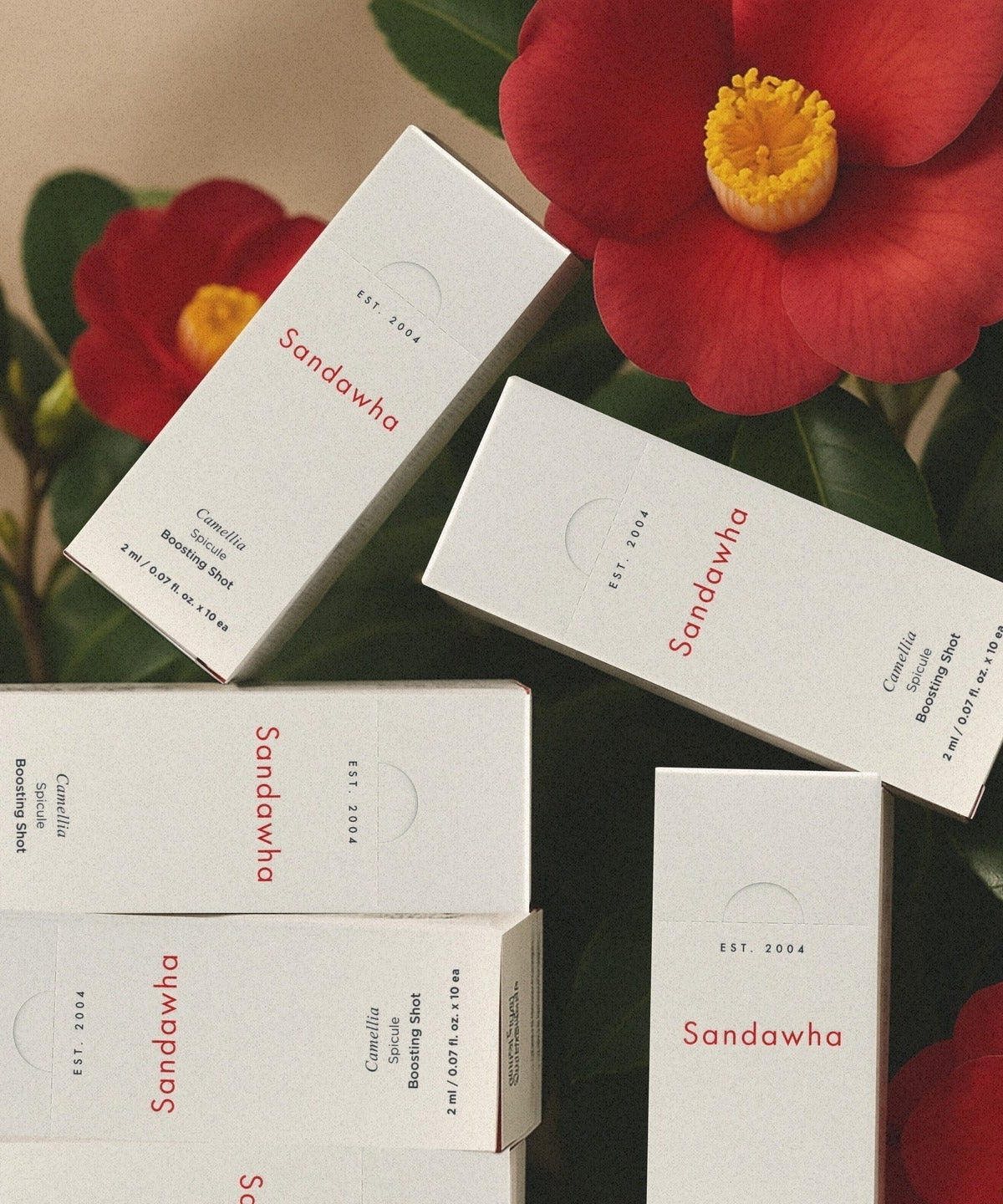 SANDAWHA Camellia Spicule Boosting Shot with camellia flowers in the background