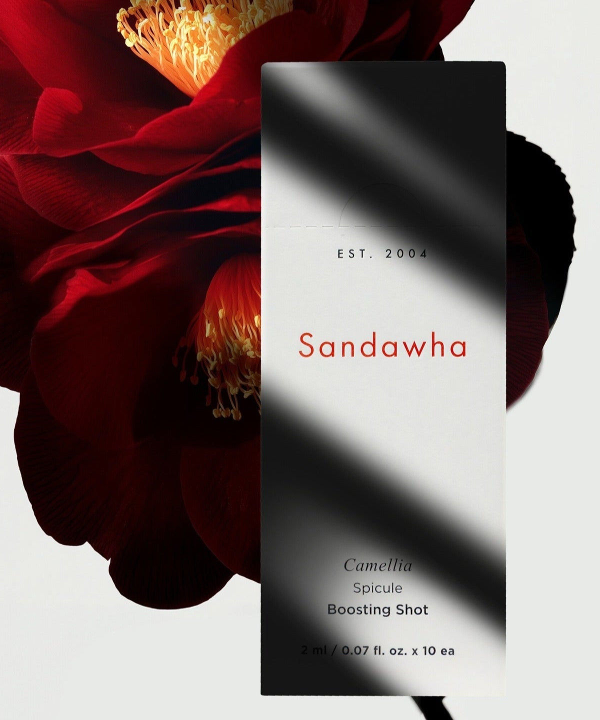 SANDAWHA Camellia Spicule Boosting Shot packaging with red camellia blossom in background