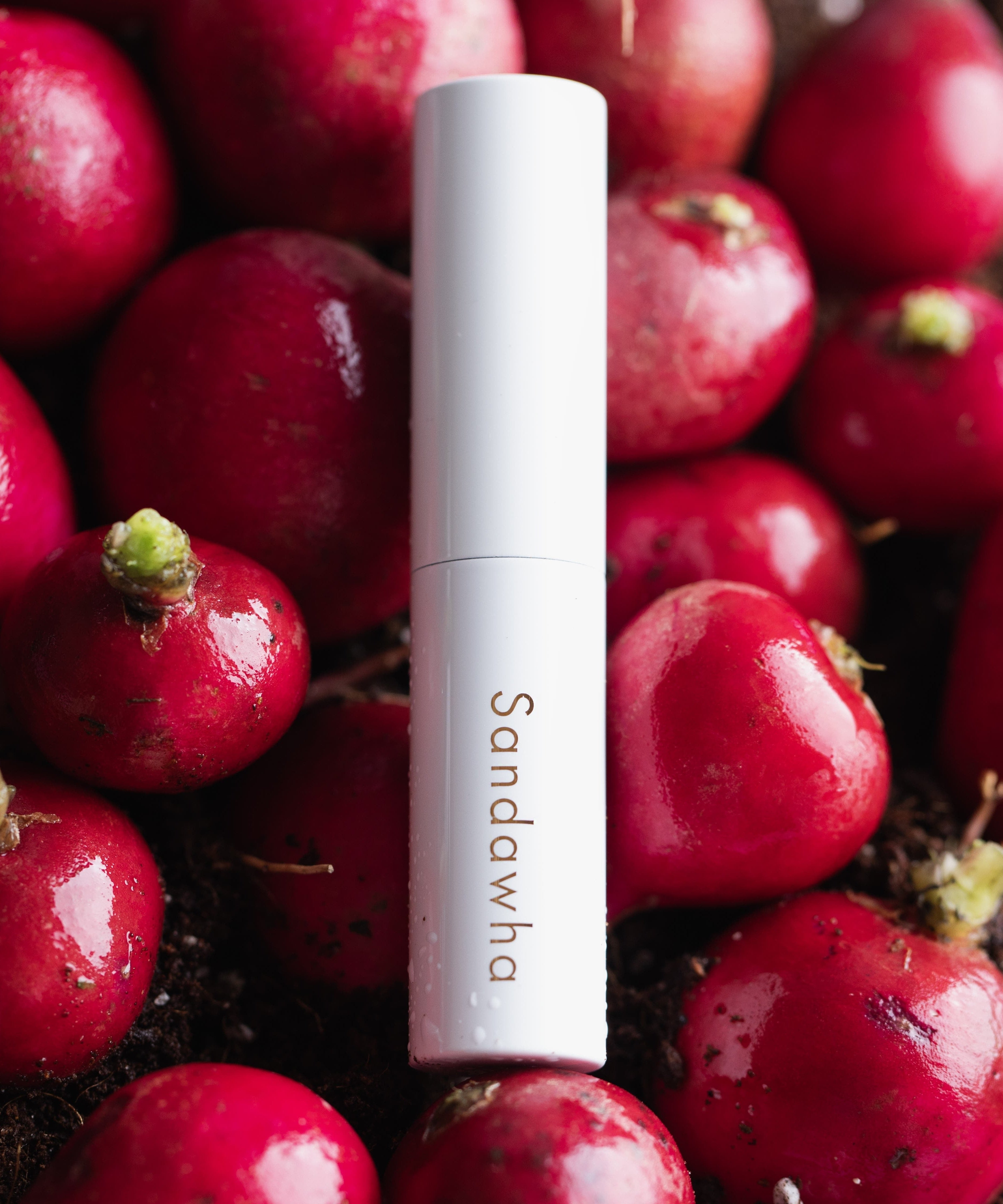 SANDAWHA Floral Halo Lip Glow tube surrounded by vibrant red fruits, showcasing natural beauty ingredients.