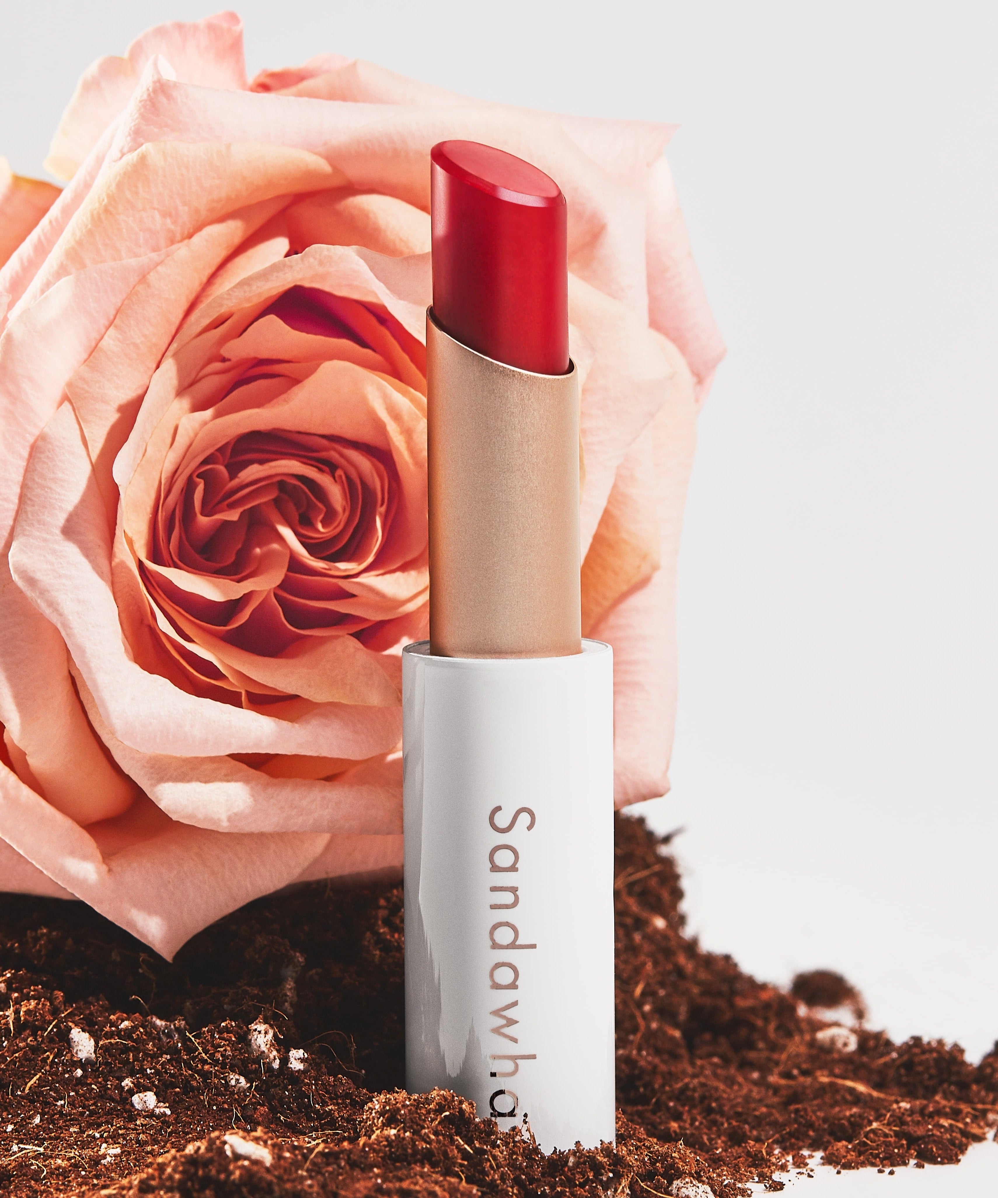 SANDAWHA Floral Halo Lip Glow shown with a blooming rose, emphasizing beauty and natural ingredients.