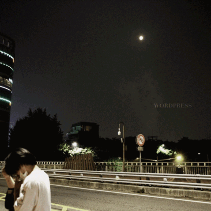 Sharkrama - [ワードプレス] - K-POPアルバム