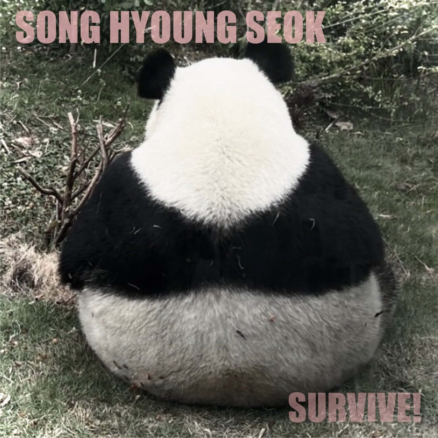SONG HYUNGSEOK - [SURVIVE] - Kpop Album | Kool Seoul - Buy Kpop Albums Online