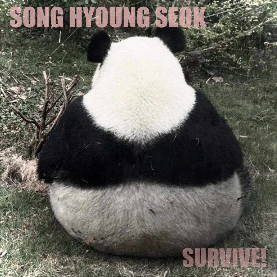 Song Hyungseok - [Survive] - Kpopアルバム