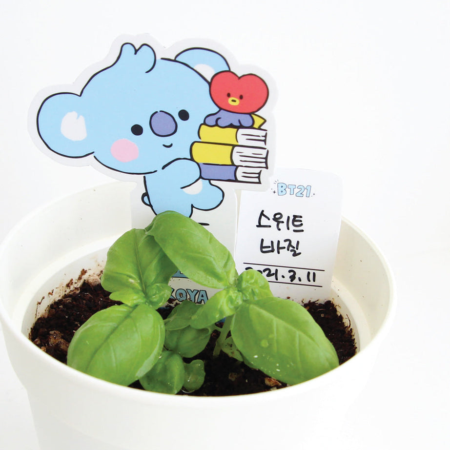 BT21 Seed Stick Kit Koya on sales on our Website !