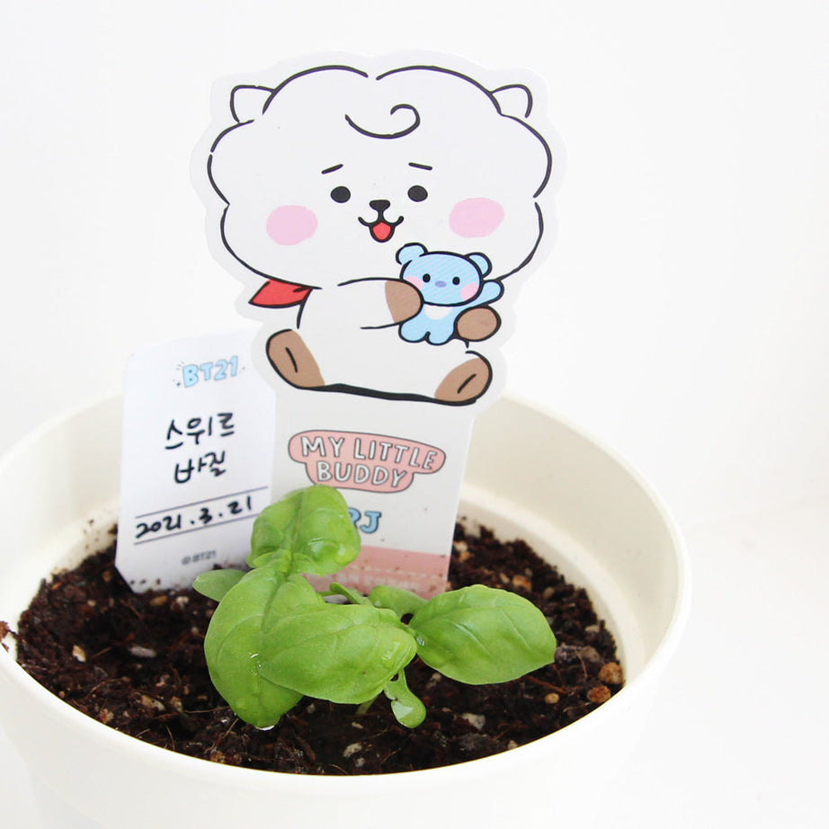 BT21 Seed Stick Kit Rj on sales on our Website !