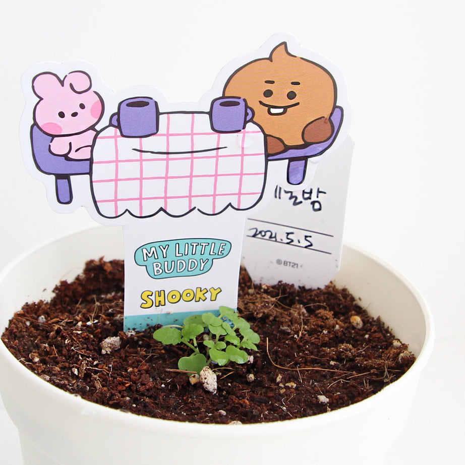 BT21 Seed Stick Kit Shooky on sales on our Website !