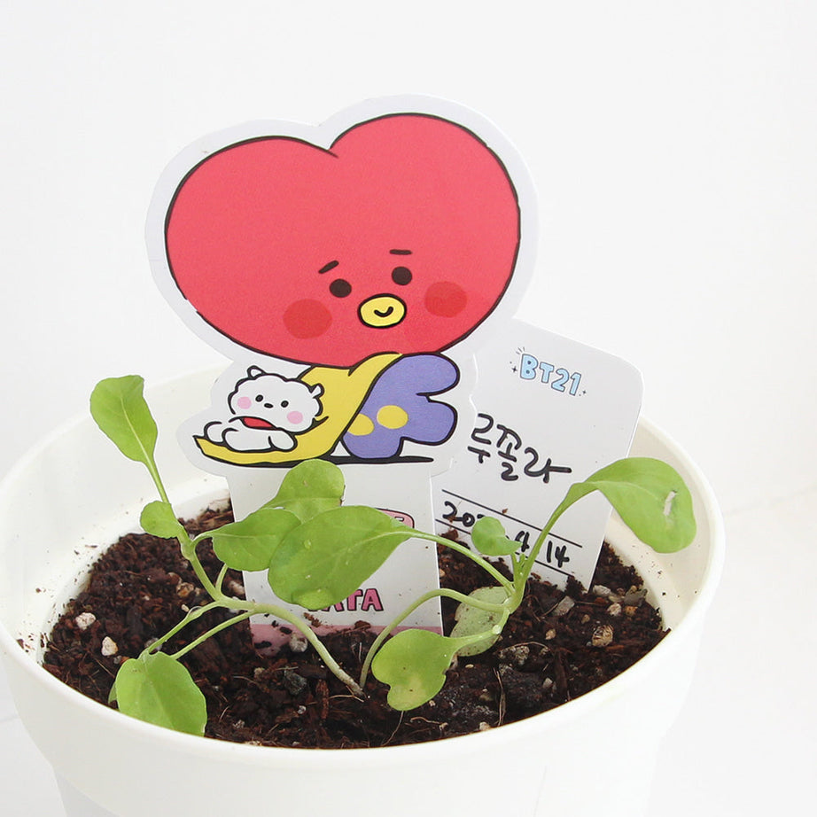 BT21 Seed Stick Kit Tata on sales on our Website !