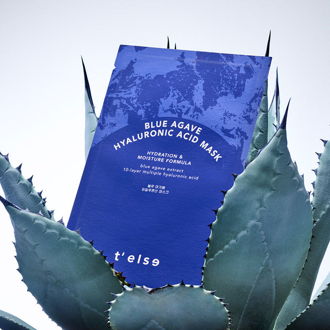 T'ELSE Blue Agave Hyaluronic Acid Mask 5 Pack