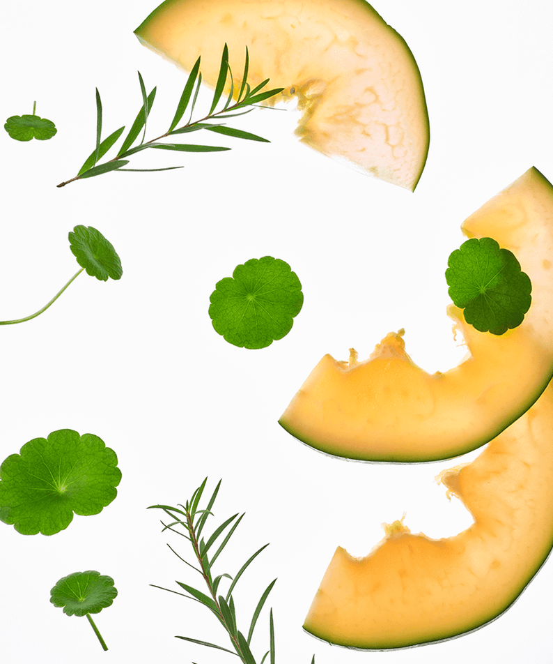 Ingredients of TOCOBO Cica Calming Powder Wash including Cica leaves and melon slices.