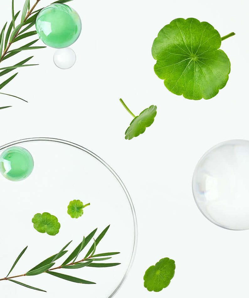 TOCOBO Cica Calming Serum ingredients, featuring natural green leaves and bubbles, highlighting skincare elements for soothing effects.
