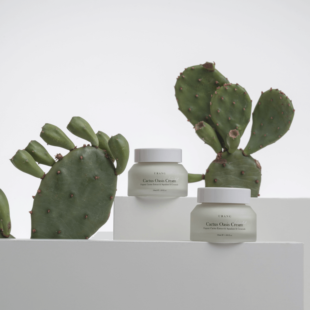URANG Cactus Oasis Cream 50ml jars displayed with cactus plants for moisturizing skincare.
