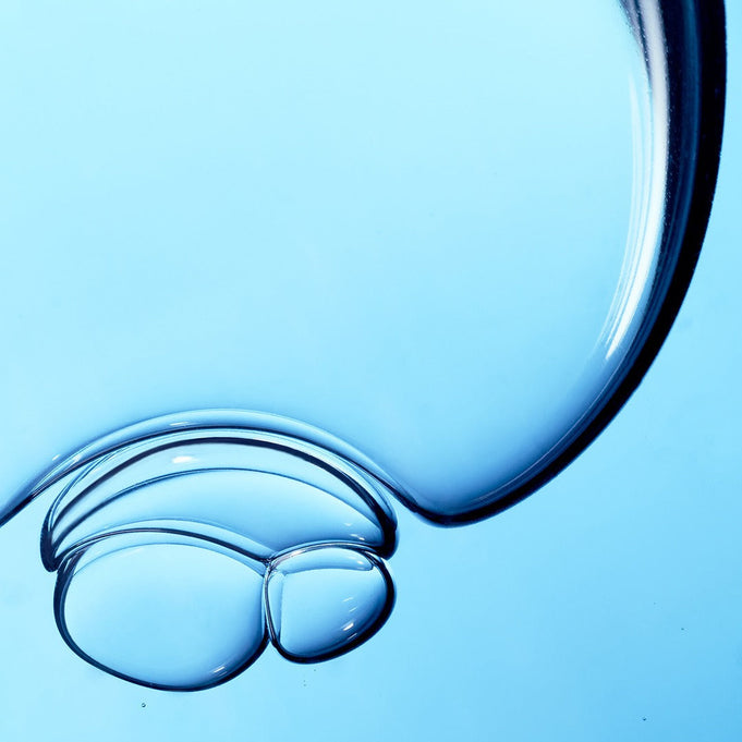 WHAMISA Organic Algae Fermented Body Cleanser 490ml