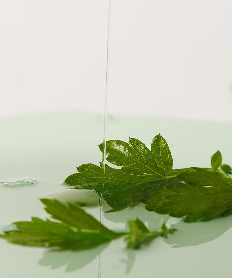 Fresh green leaves with liquid representing WHIPPED Mugtree Vegan Pore Cooling Squeeze Mask 1ea formulation