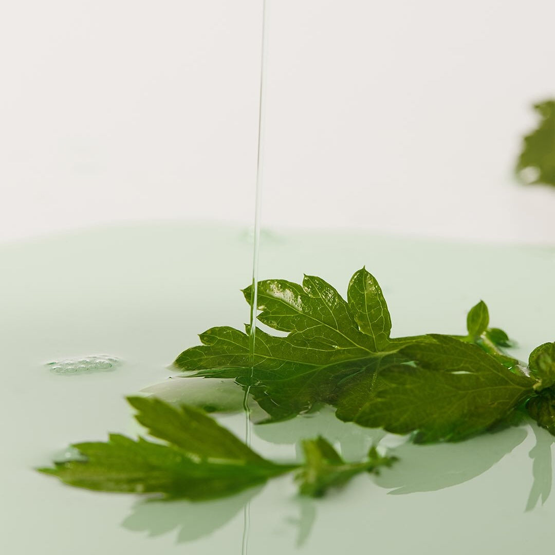 WHIPPED Mugtree Vegan Pore Cooling Squeeze Mask 1ea