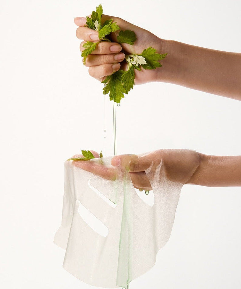 Hand holding WHIPPED Mugtree Vegan Pore Cooling Squeeze Mask 1ea with fresh green leaves, showcasing its natural ingredients and texture.