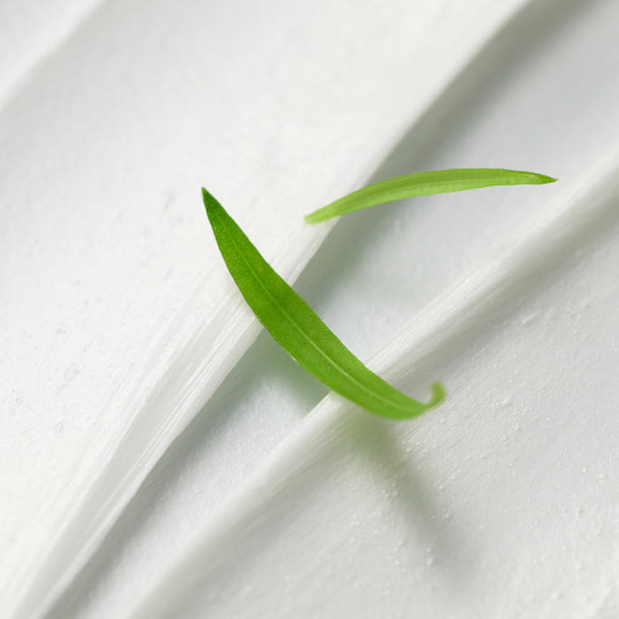 BLITHE Anti-Pollution Aging Pore Cleansing Foam BHA 0.5 150ml | Kool Seoul