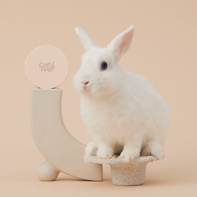 CORALHAZE Fixing Blur Cushion SPF50 PA++++ 13g | Kool Seoul