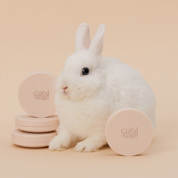 CORALHAZE Fixing Blur Cushion SPF50 PA++++ 13g | Kool Seoul