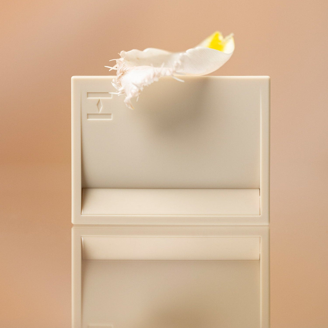 HINCE True Dimension Layering Cheek | Kool Seoul