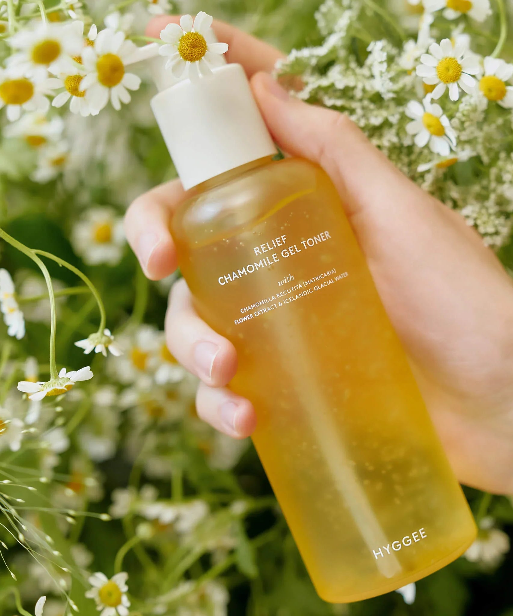 Hand holding HYGGEE Relief Chamomile Gel Toner 200ml bottle amidst fresh chamomile flowers, showcasing natural skincare product.
