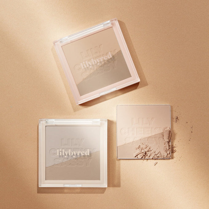 LILYBYRED Shading Bible | Kool Seoul